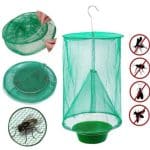 Capcana insecte