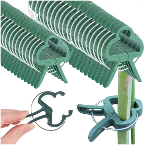 clips plante