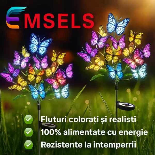 floare solara fluture