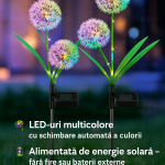 lapma solara papadie